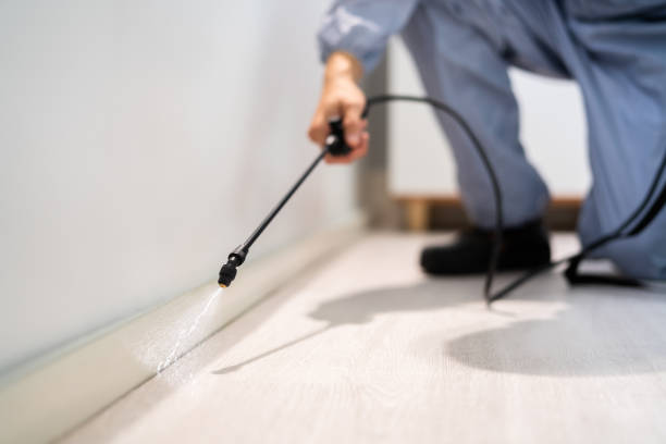 Licensed Termite Control service in Evergreen Park, IL - Nex Pest Control