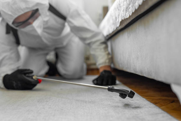 Professional Termite Control technician working in Evergreen Park, IL