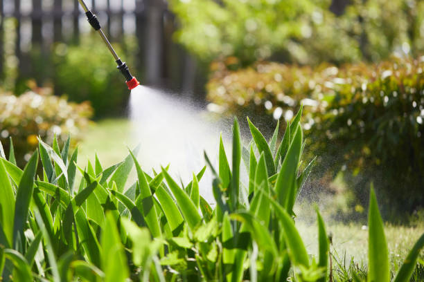 24/7 Emergency Termite Control experts in Evergreen Park, IL