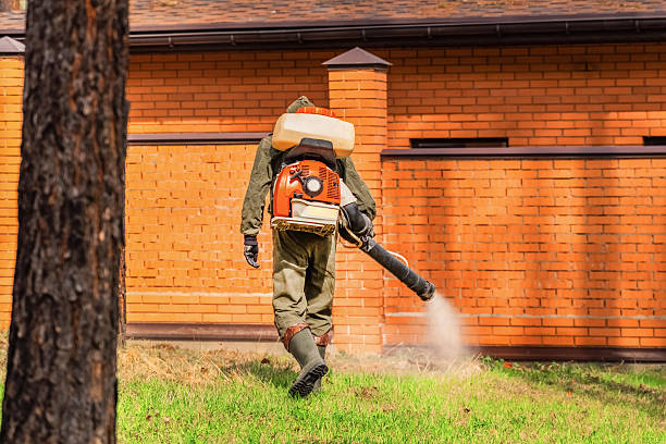 Trusted Termite Control service in Evergreen Park, IL - Nex Pest Control